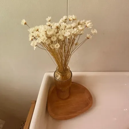 Dalla Chicchi Nocleg ze śniadaniem Porto Recanati